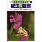 昆虫の観察