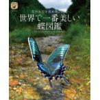 花や水辺を求め飛び回る世界で一番美しい蝶図鑑
