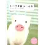 ミニブタ飼いになる 飼い方からしつけ、グッズ、遊び方まで
