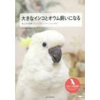 大きなインコとオウム飼いになる 育て方や食事、グッズ、コミュニケーションまで