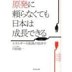 原発に頼らなくても日本は成長できる エネルギー大転換の経済学