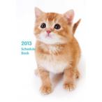 ’13 ScheduleBook CAT