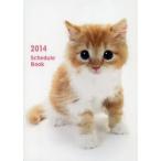 ’14 ScheduleBook CAT
