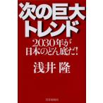 次の巨大トレンド 2030年が日本のどん底だ!