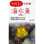 海水魚 海を泳ぐ魚がすぐわかる!海の魚と友だちになる本