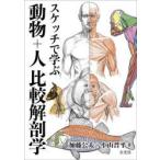 スケッチで学ぶ動物＋人比較解剖学