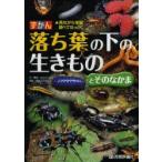 ずかん落ち葉の下の生きものとそのなかま 見ながら学習調べてなっとく