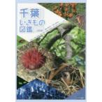 千葉いきもの図鑑 ほ乳類／は虫類／両生類／鳥類／魚類／甲殻類／軟体動物／昆虫／草本／木本／キノコ他