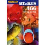 日本の海水魚466