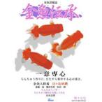 金魚伝承 17