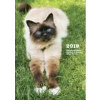 2019年版 diary＆scheduleねこ／岩合光