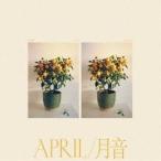 EMMY THE GREAT / APRIL ／ 月音 [CD]