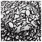 QUENOIRS / masquerade ep [CD]