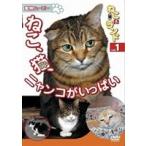動物ムービー DVDシリーズねこ（猫）ざ ランド 1（ねこ、猫、ニャンコがいっぱい） [DVD]