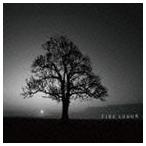 FIRE ARROW / クオリア [CD]
