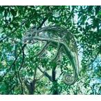 wacci / Empathy（初回生産限定盤A／CD＋DVD） [CD]
