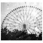 森は生きている / 森は生きている [CD]