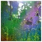 Mark McGuire / Get Lost [CD]