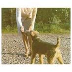 グリーン・トゥリーズ / グリーン・トゥリーズ [CD]