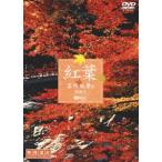 紅葉 名所絶景を訪ねて 映像遺産・ジャパントリビュート [DVD]