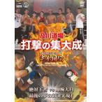 及川道場 打撃の集大成 -SHOOTaisei- 12・23及川知浩引退イベント 完全相伝 [DVD]