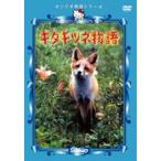  kita kitsune история [DVD]