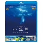 ビコム Relaxes BD 世界自然遺産 小笠原 〜ボニンブルーの海〜 [Blu-ray]
