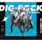 Impish Crow / WHAT U WANT [CD]
