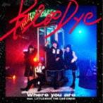 BlooDye / Where you are feat. LITTLE（KICK THE CAN CREW）（通常盤） [CD]