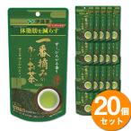 【20袋セット】伊藤園 お〜いお茶 緑茶 一番茶100g 鮮度にこだわった日本一番茶100％ 安心の日本国内製