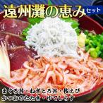 .... .. комплект ... фарфоровая пиала и . Sakura .... shirasu местного производства ... Shizuoka префектура морепродукты набор подарок внутри праздник .. белый подарок внутренний подарок подарок по случаю конца года 