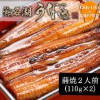 ショッピングうなぎ 蒲焼き 国内産 送料無料 うなぎ 蒲焼 2人前(110g×2) 浜松 浜名湖  鰻 蒲焼 国産  内祝い 丑の日 土用の丑の日 贈り物 ウナギ 国内  土用 グルメ お中元 夏