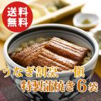 うなぎ割烹 一愼 特製蒲焼 愛知県産 6袋入り 山椒・たれ付き 贈答用 鰻 送料無料 ギフト 贈答品 誕生日 お祝い 内祝い お中元 敬老の日