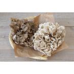  чёрный Mai .& мелкие сколы от камней цвет Mai . комплект Yamagata префектура лосось река . всего примерно 900g.. . бесплатная доставка подарок .. товар день рождения праздник внутри праздник . подарок по случаю конца года 