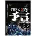 DVD THE сердце . фотография .. прокат ZEE02030