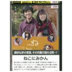 DVD... мандарин в аренду версия ZM02291