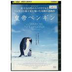 DVD император пингвин прокат ZY01250