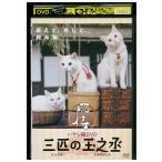 DVD... кошка DVD кошка samurai три шт. шар .. прокат ZY01298