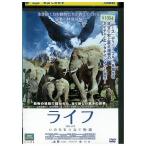 DVD жизнь .. ..... история прокат ZY02098