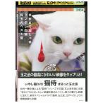 DVD кошка samurai ...DVD.... шар .. прокат ZZ03073