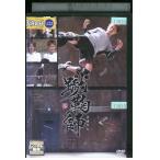 DVD... Yokoyama Yuu Ookura Tadayoshi Nishikido Ryou Sato ... прокат ZZ03234