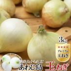 a.. остров новый шар лук порей 3kg 1 коробка Awaji Island tama лук-батун ... остров premium лук репчатый .. шар лук порей . отправляем специальный отбор tama лук-батун для бытового использования подарок 