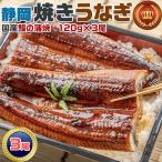 鰻 雅 うなぎ静岡焼き うなぎの蒲焼 静岡焼きうなぎ 国産 120g×3尾 合計360g 3人前 お茶とかつおのダシを効かせた特製だれでじっくり焼き上げました 送料無料