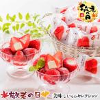敬老の日 ギフト 2025 春摘み苺アイス(20個) アイスクリーム 苺アイス約20g×20 メッセージカード付 お取り寄せグルメ 食品 送料無料