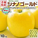 訳あり りんご 10kg 青森県産 シナノゴールド 常温便 10キロ 林檎 家庭用 リンゴ お試し ご家庭用 ご自宅用 糖度保証 果物 フルーツ アップル 送料無料