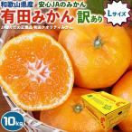 有田 みかん 家庭用 10kg箱 Lサイズ JAありだ AQ (訳あり有田クオリティ) 和歌山県産 傷あり JAの正規品 AQ 送料無料