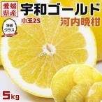 宇和ゴールド みかん �