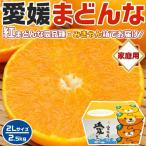 愛媛まどんな (紅まどんな 同品種) アイカ みきゃん箱 2Lサイズ 2.5kg JAの正規品(あいか/ 愛果28号) ご家庭用 高糖度 JA選果 紅マドンナと同じ品種