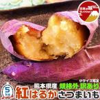  есть перевод .. .. батат 5kg маленький размер 25-80 шт. входит царапина есть нестандартный *. для бытового использования Kumamoto префектура производство .. Satsuma клубень сырой клубень коробка покупка овощи жарение клубень тоже OK бесплатная доставка 