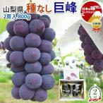  подарок на Bon Festival подарок виноград .. вид нет 2. входить 800g Yamanashi префектура производство . средний изначальный .... прохладный рейс День почитания пожилых людей ...